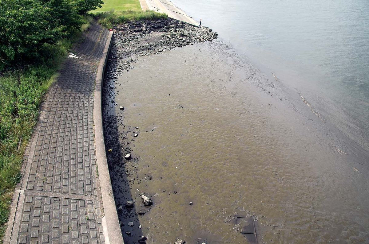 テナガエビ釣り 荒川 全国おすすめ釣り場