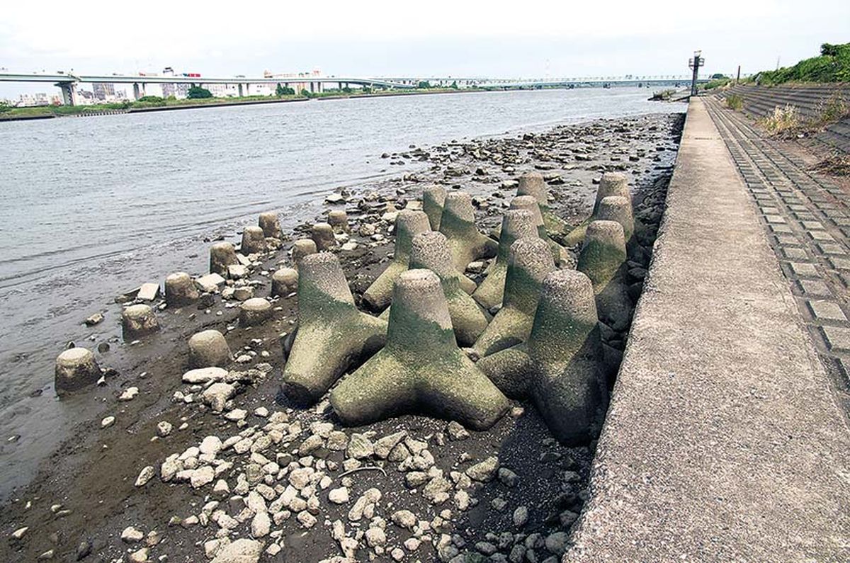 テナガエビ釣り 荒川 全国おすすめ釣り場