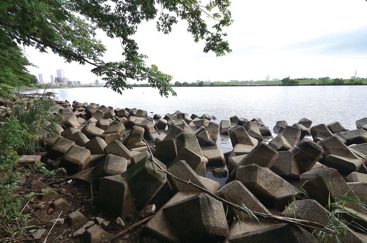 テナガエビ釣り 江戸川 全国おすすめ釣り場