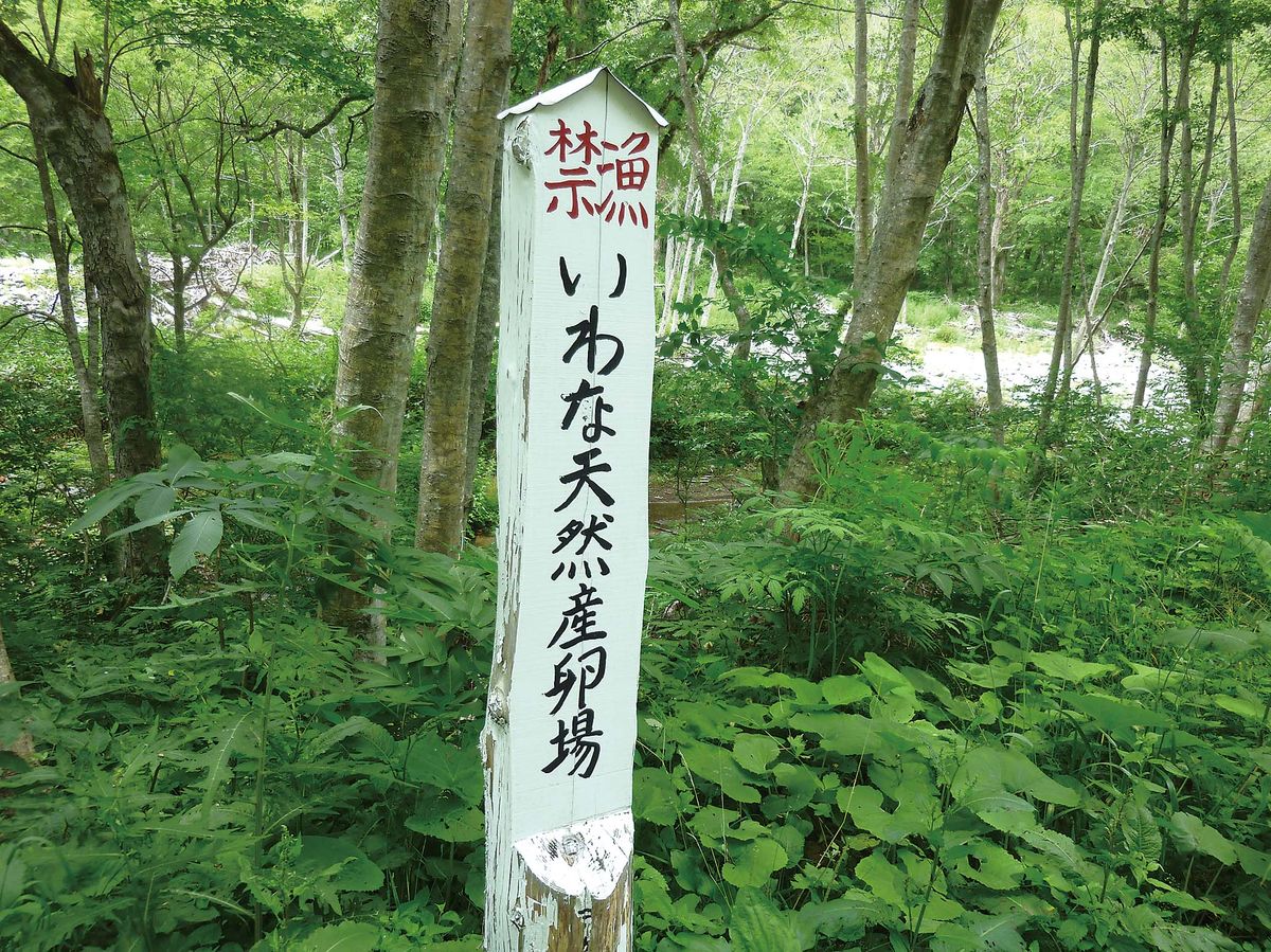 038-047kougen-tsuriba_cs6 (24)