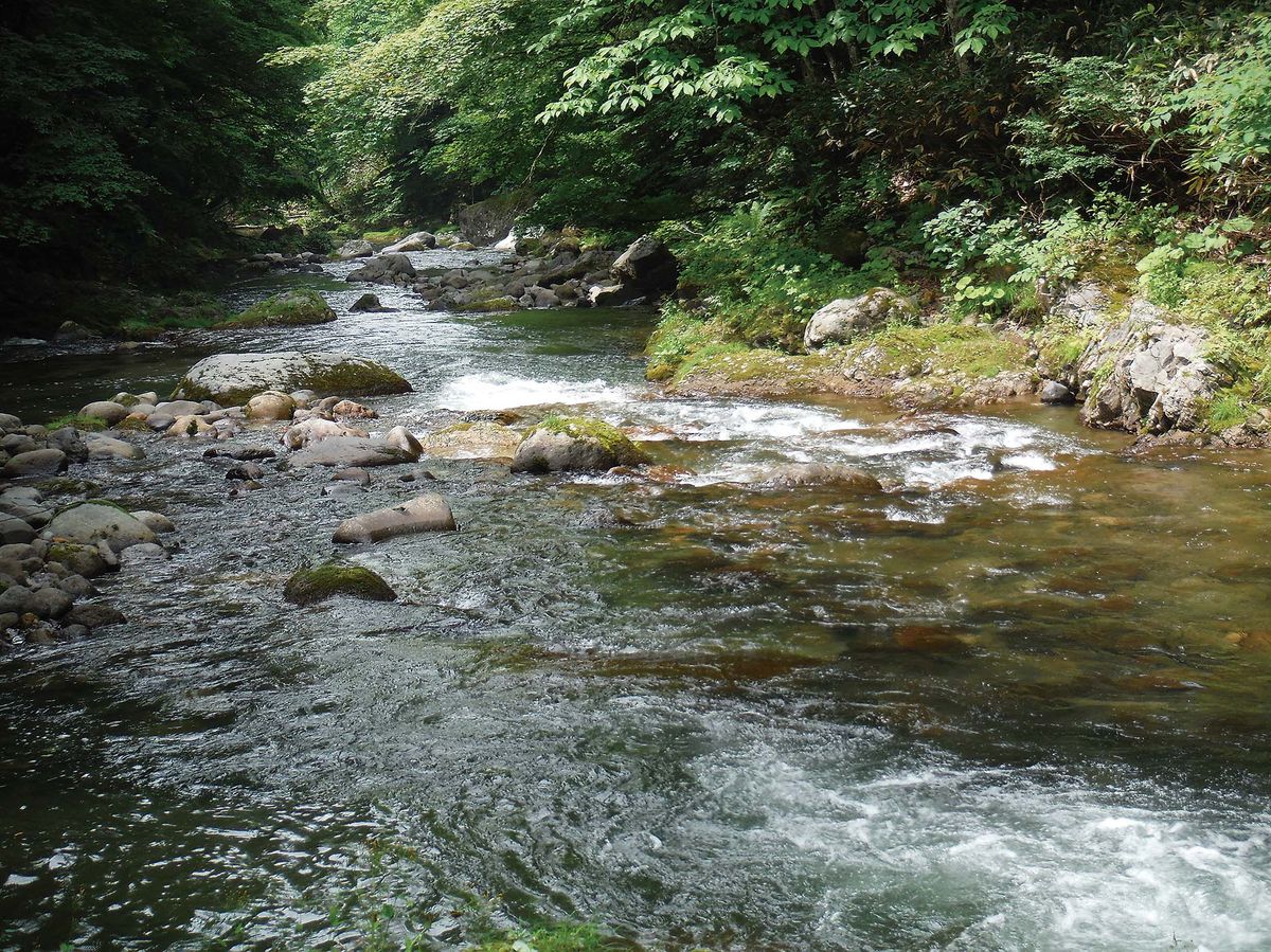 038-047kougen-tsuriba_cs6 (2)_1