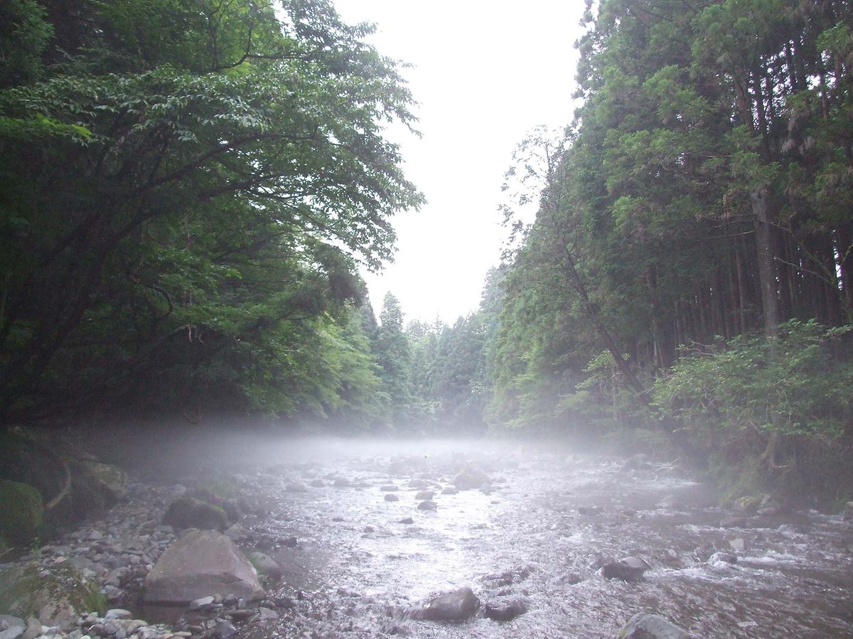 アマゴ釣り 静岡県朝霧高原 芝川 全国おすすめ釣り場