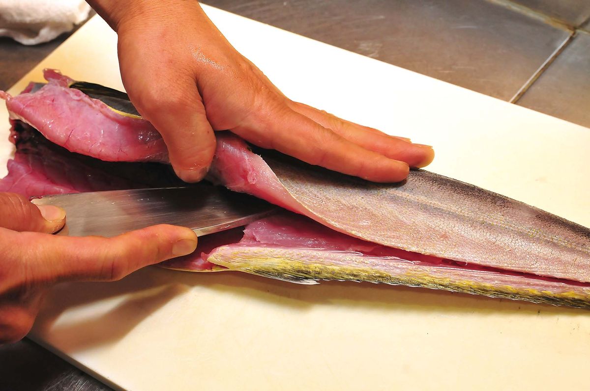 シイラ料理 基本的なさばき方と料理の下ごしらえ 美味しい鮮魚料理