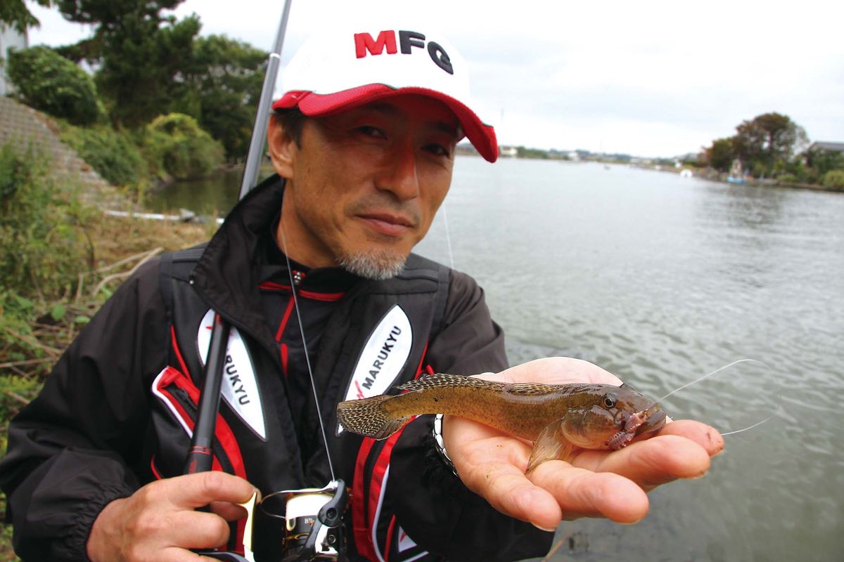 ハゼ釣り 茨城 涸沼川 涸沼川橋下 全国おすすめ釣り場