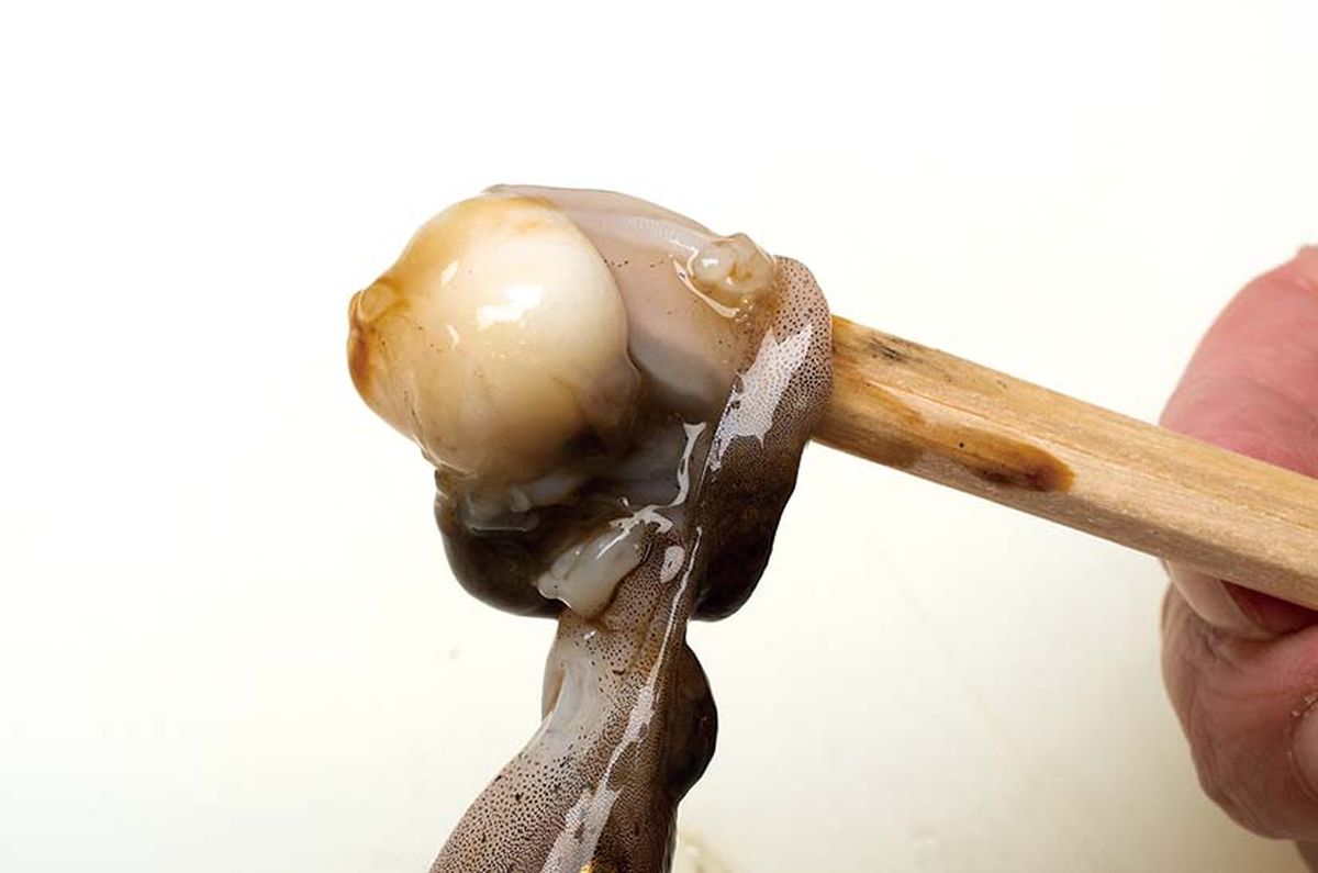 064-069-ika-tako-cooking_cs6 (86)