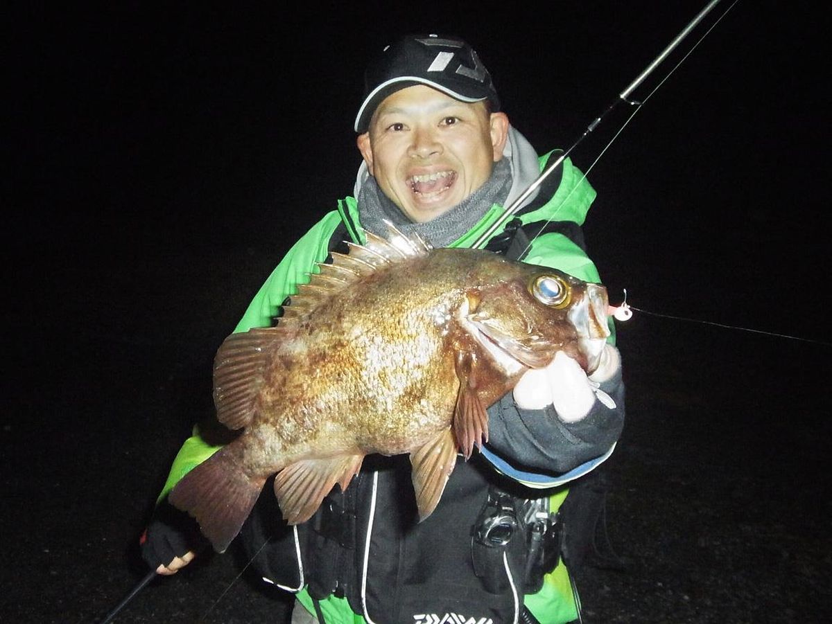 メバル釣り 千葉県南房総市 太房岬 全国おすすめ釣り場