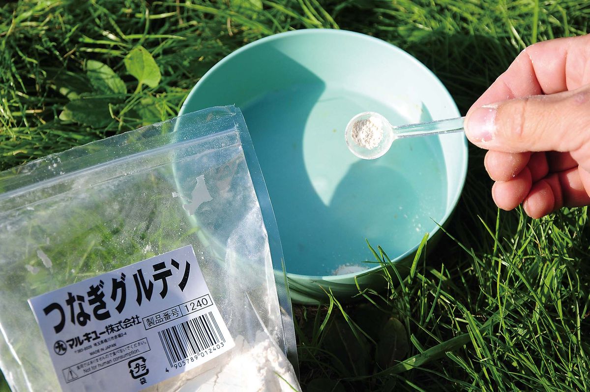 044-047tanago_nyumon_cs6 (35)