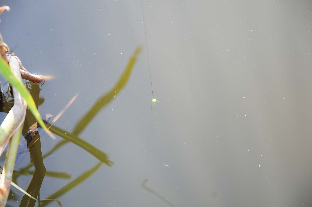 044-047tanago_nyumon_cs6 (41)