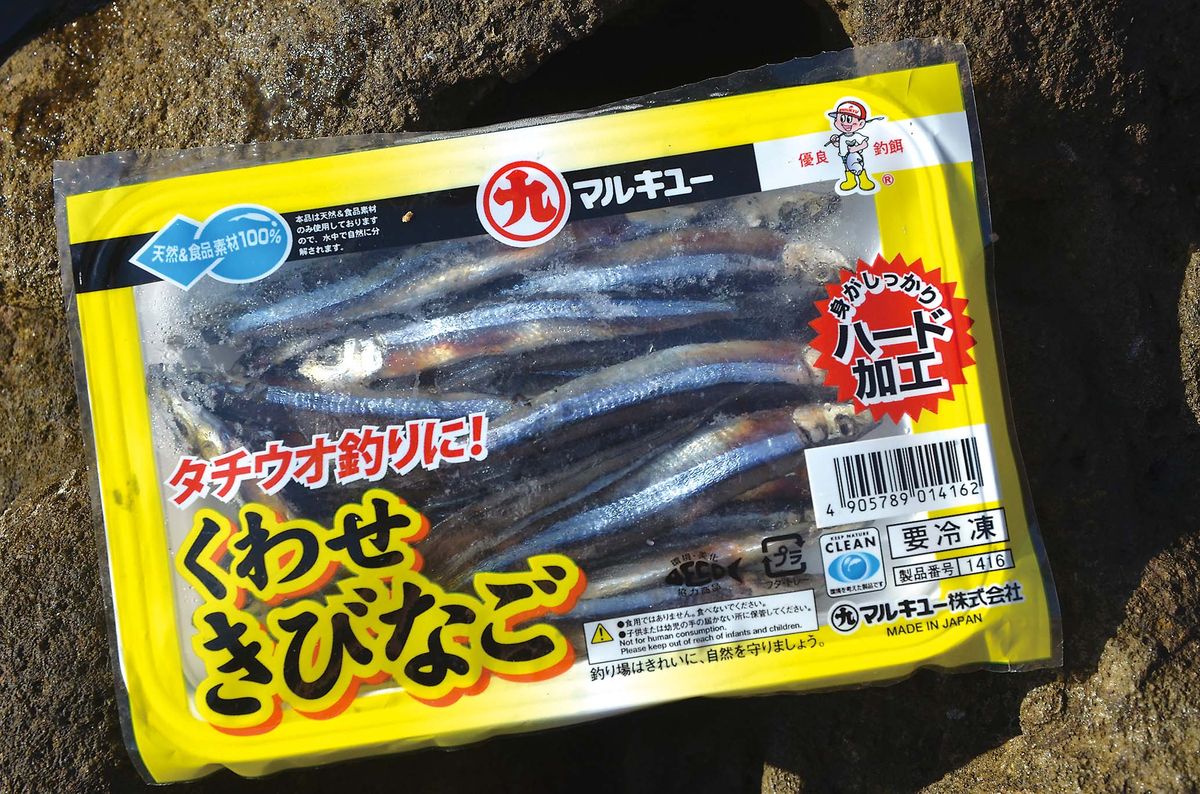 028-033shikinejima_cs6 (24)