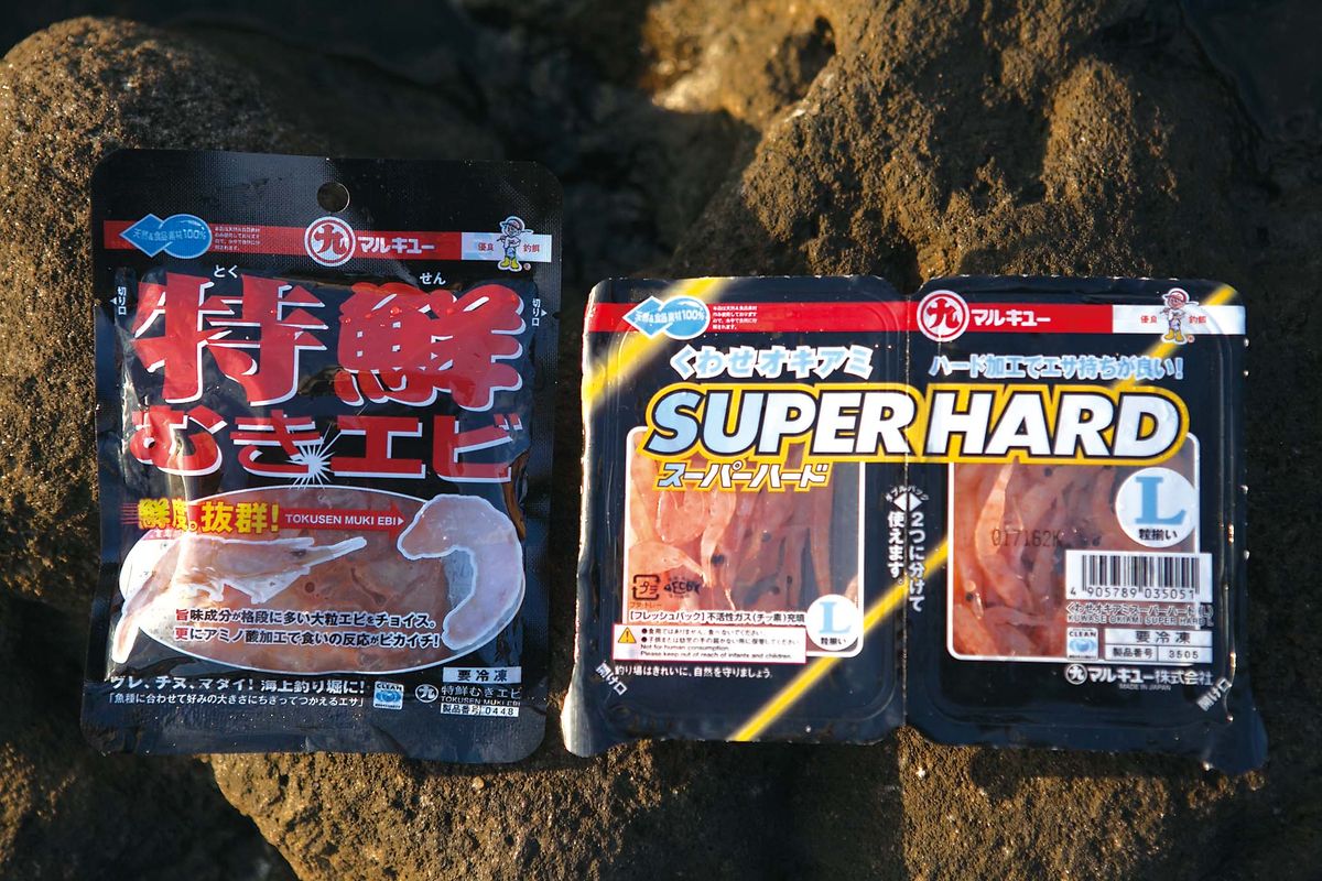 028-033shikinejima_cs6 (25)