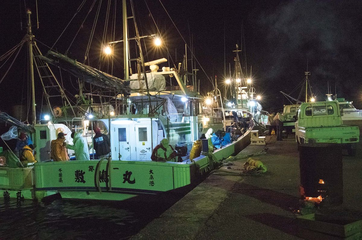 ショウサイフグ釣り 今からできるカットウ釣り入門 魚種別釣りガイド