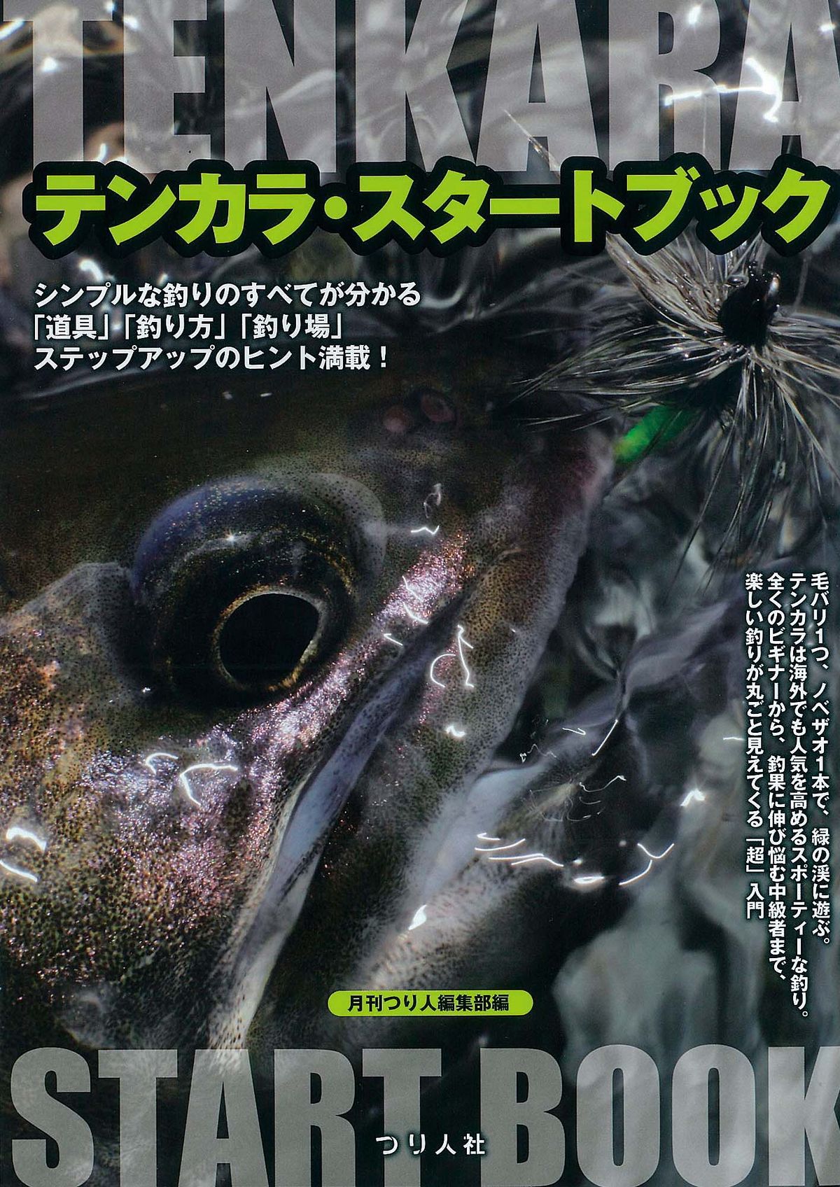 イワナ ヤマメ マス釣り 10分で分かる テンカラ釣りキャスティング入門 魚種別釣りガイド