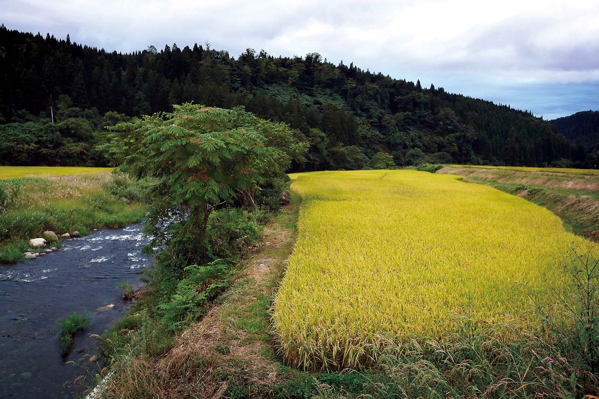 039-051best keiryu_cs6 (4)_1