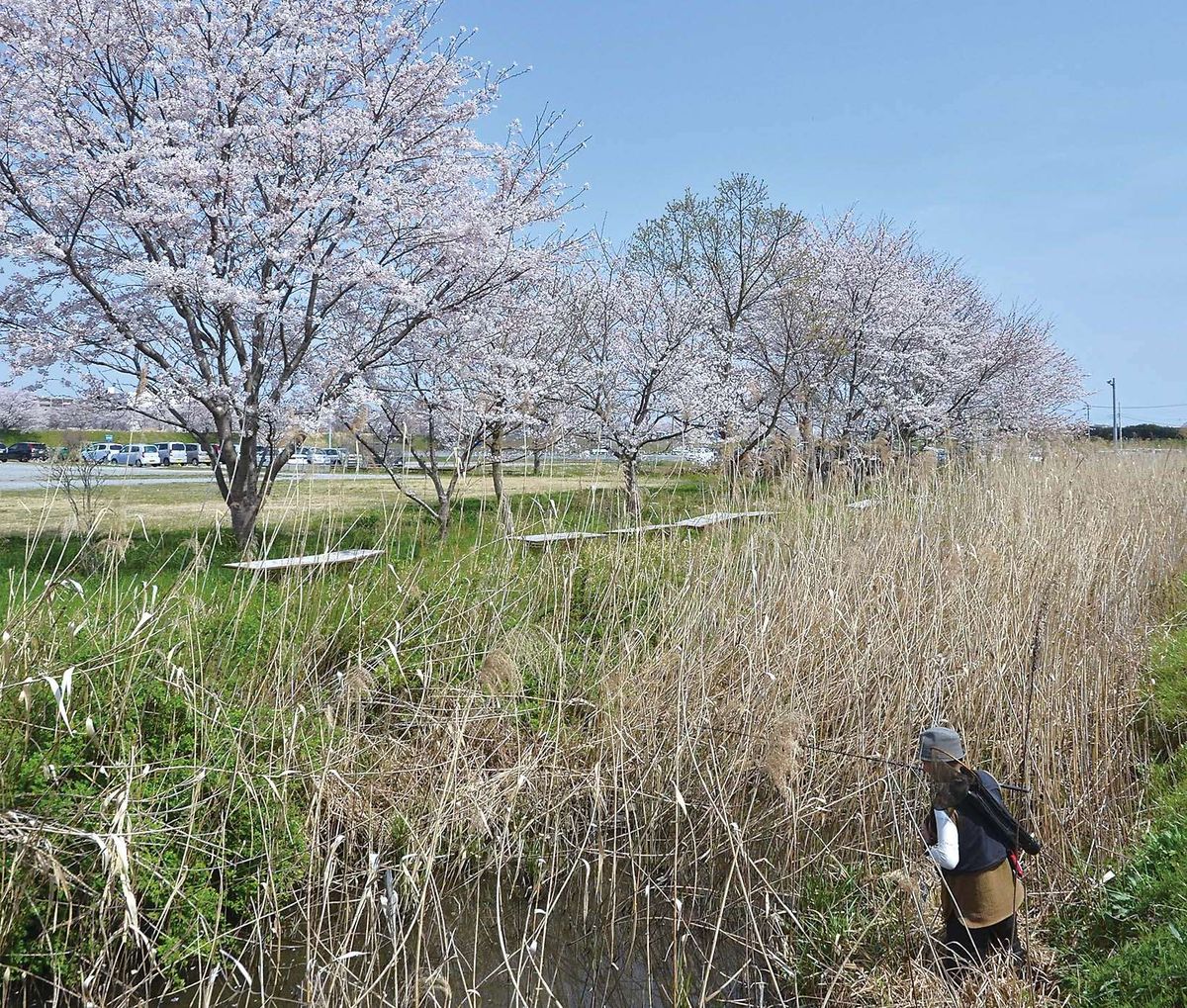 026-030mabuna_okame_cs6 (12)