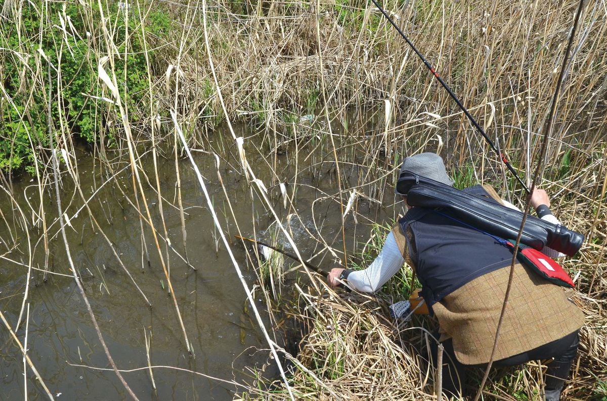 026-030mabuna_okame_cs6 (13)