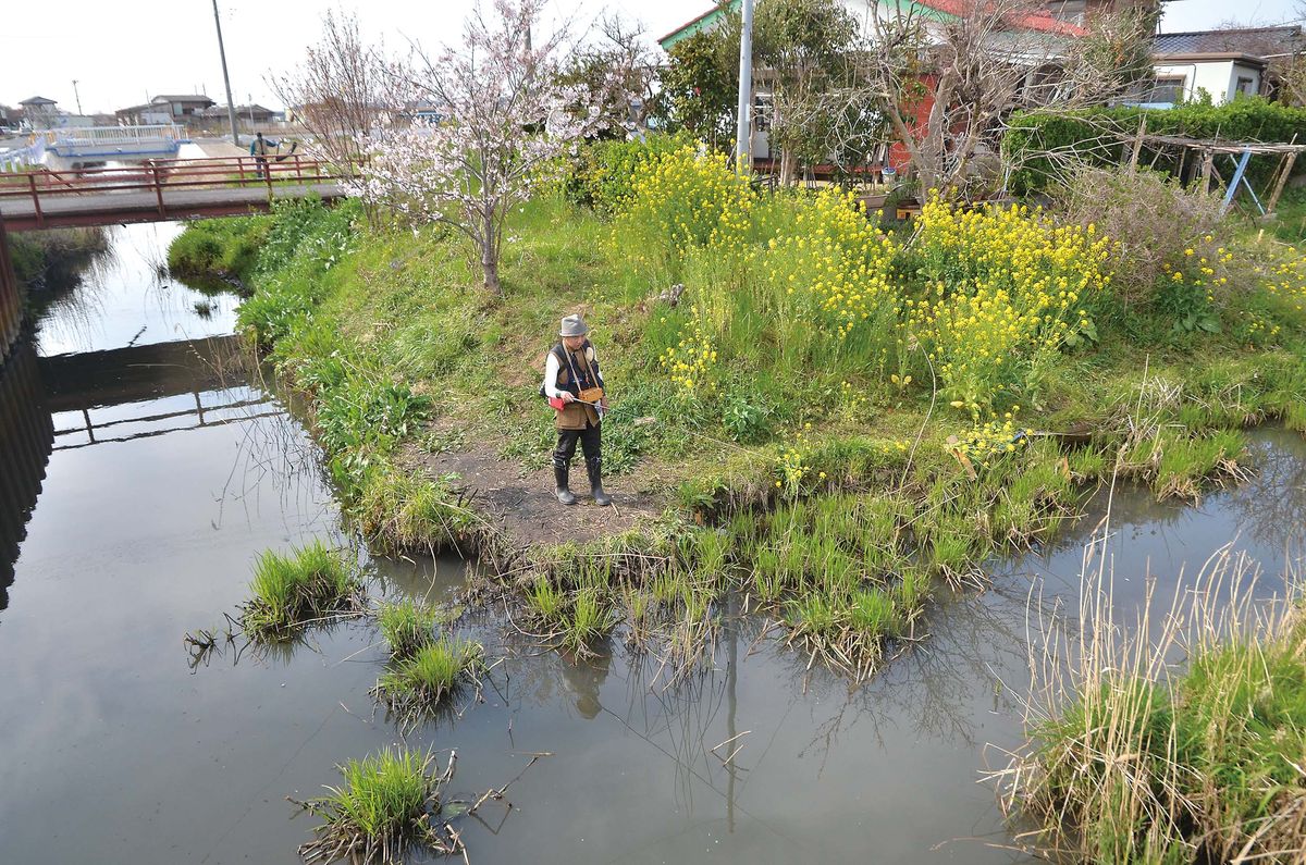 026-030mabuna_okame_cs6 (7)
