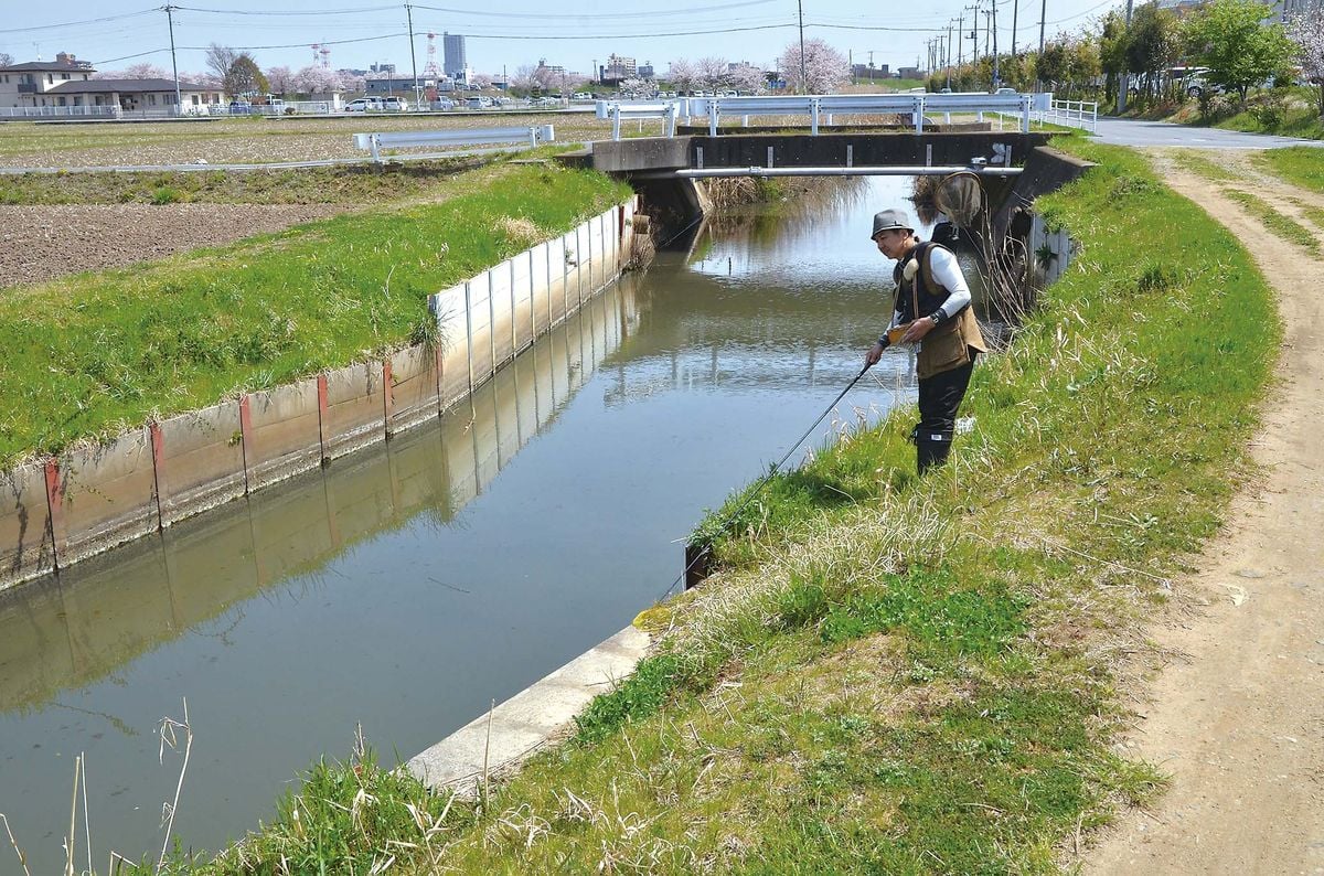 026-030mabuna_okame_cs6 (9)