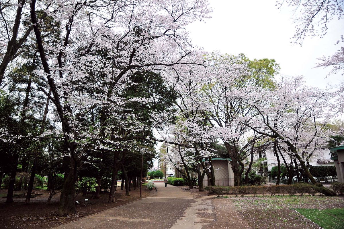 031-035ohanami_tsuriba_cs6 (11)