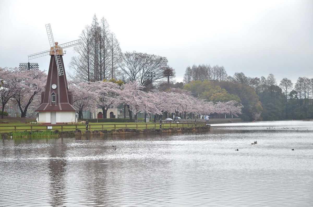 031-035ohanami_tsuriba_cs6 (2)_1