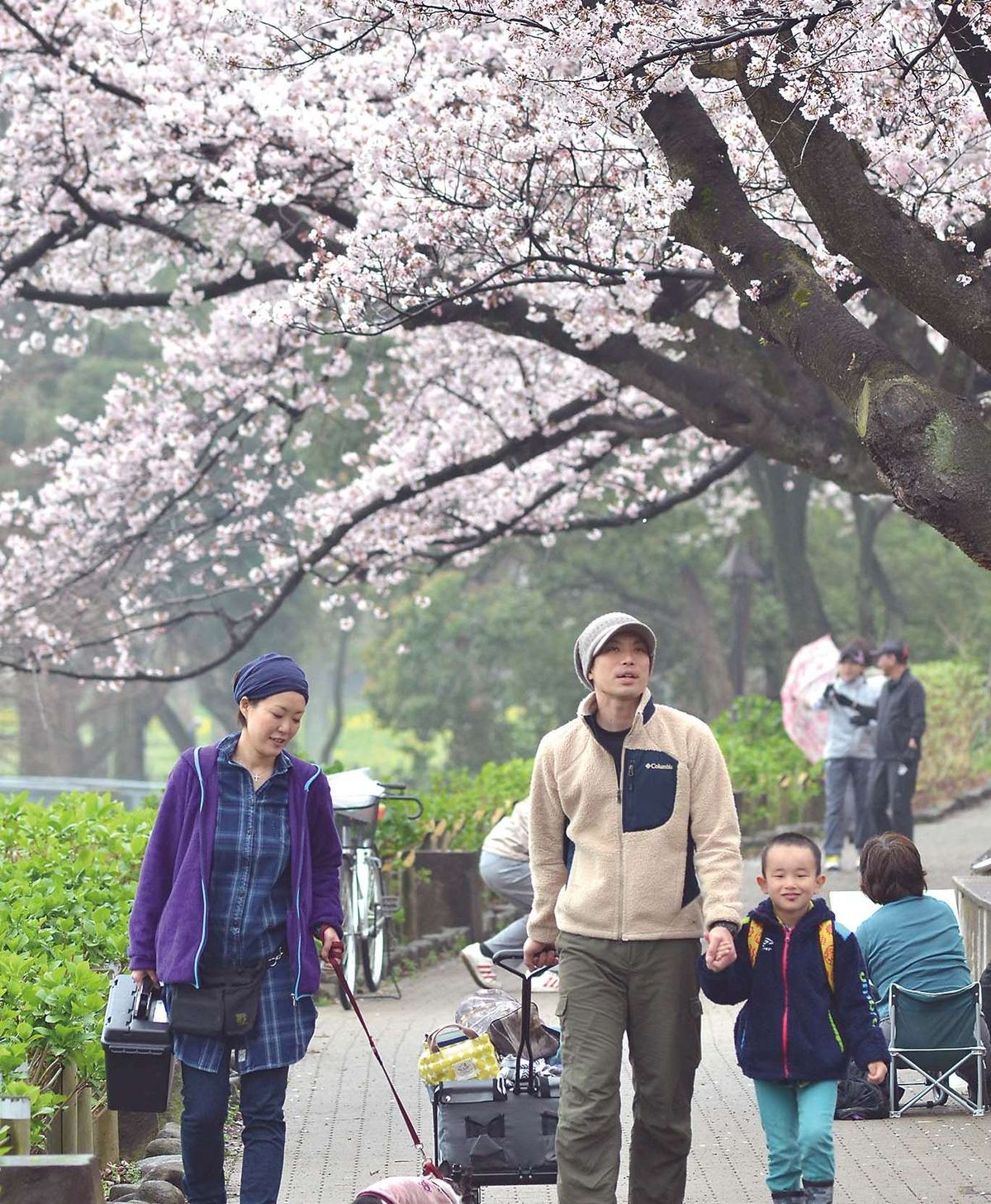 031-035ohanami_tsuriba_cs6 (3)_1
