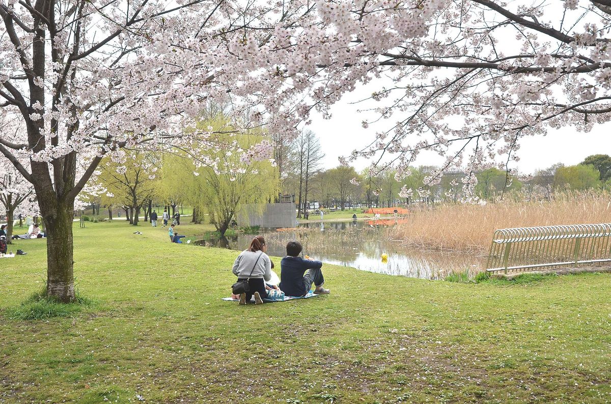 031-035ohanami_tsuriba_cs6 (5)_1