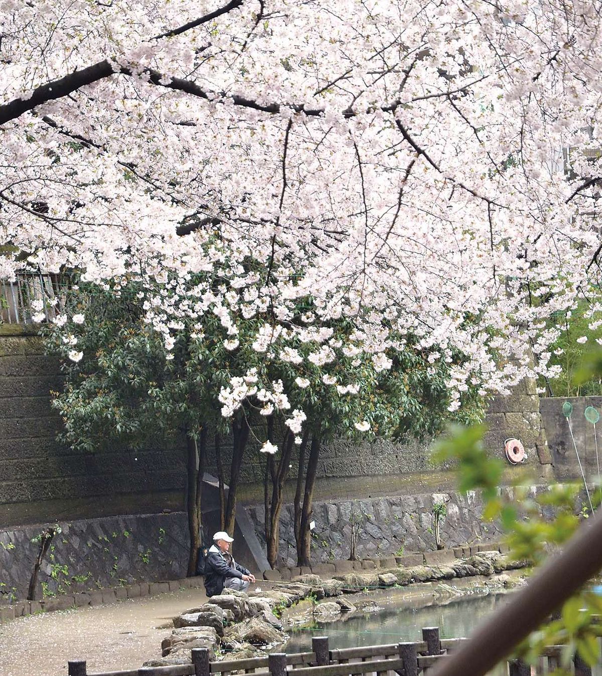 031-035ohanami_tsuriba_cs6 (6)_1