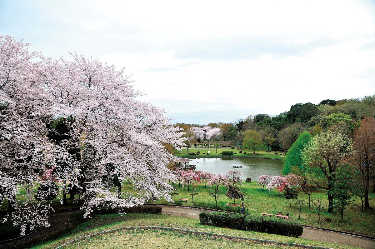 031-035ohanami_tsuriba_cs6 (7)_1