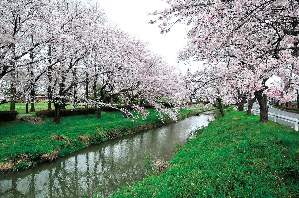 031-035ohanami_tsuriba_cs6 (9)_1