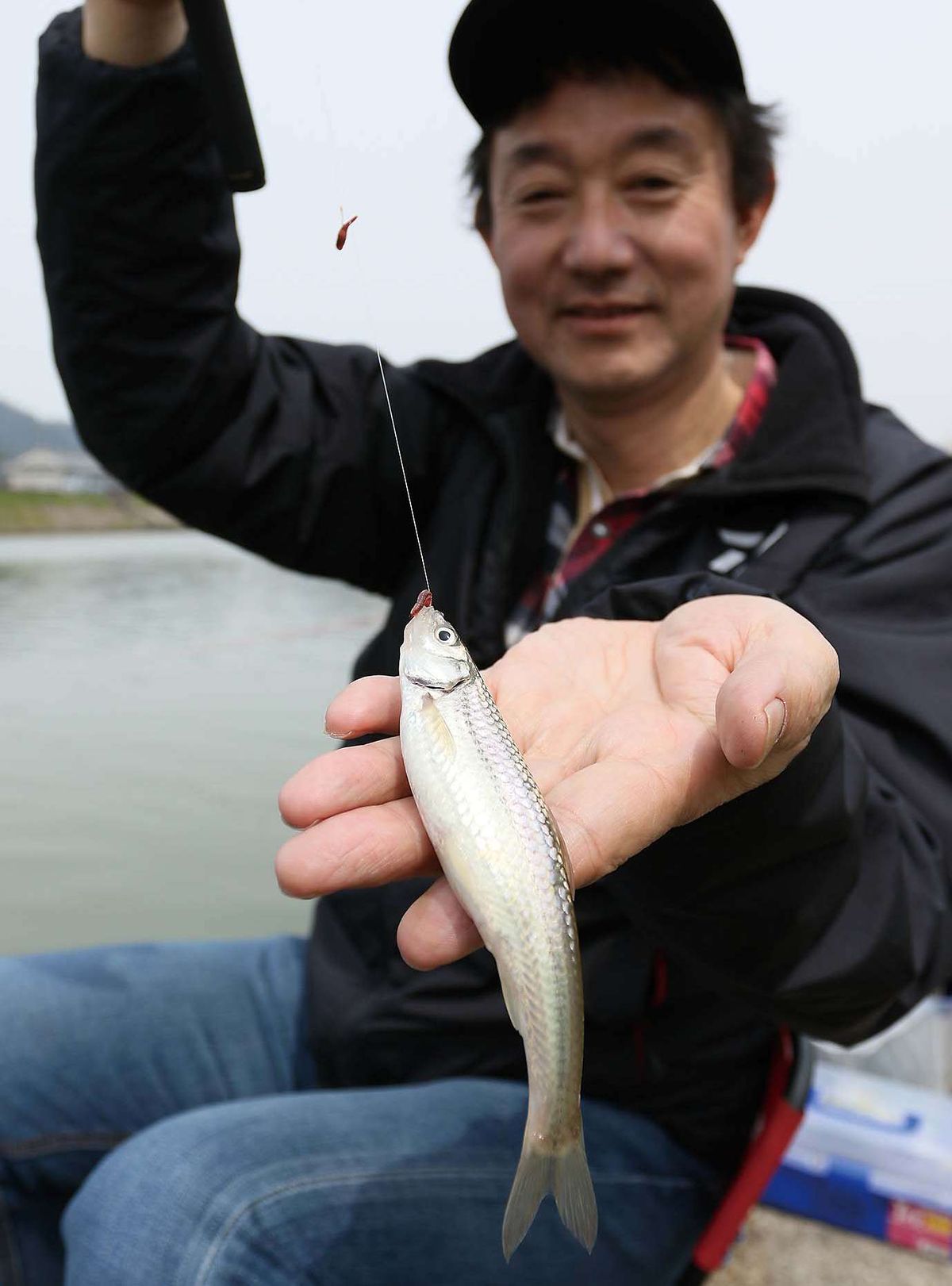 ホンモロコ釣り 滋賀県近江八幡市 東近江市 長命寺川 須田川 全国おすすめ釣り場