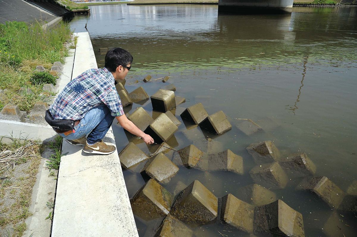 テナガエビの釣り方 初心者にも簡単に釣れる 安 近 短なテナガエビ入門 魚種別釣りガイド