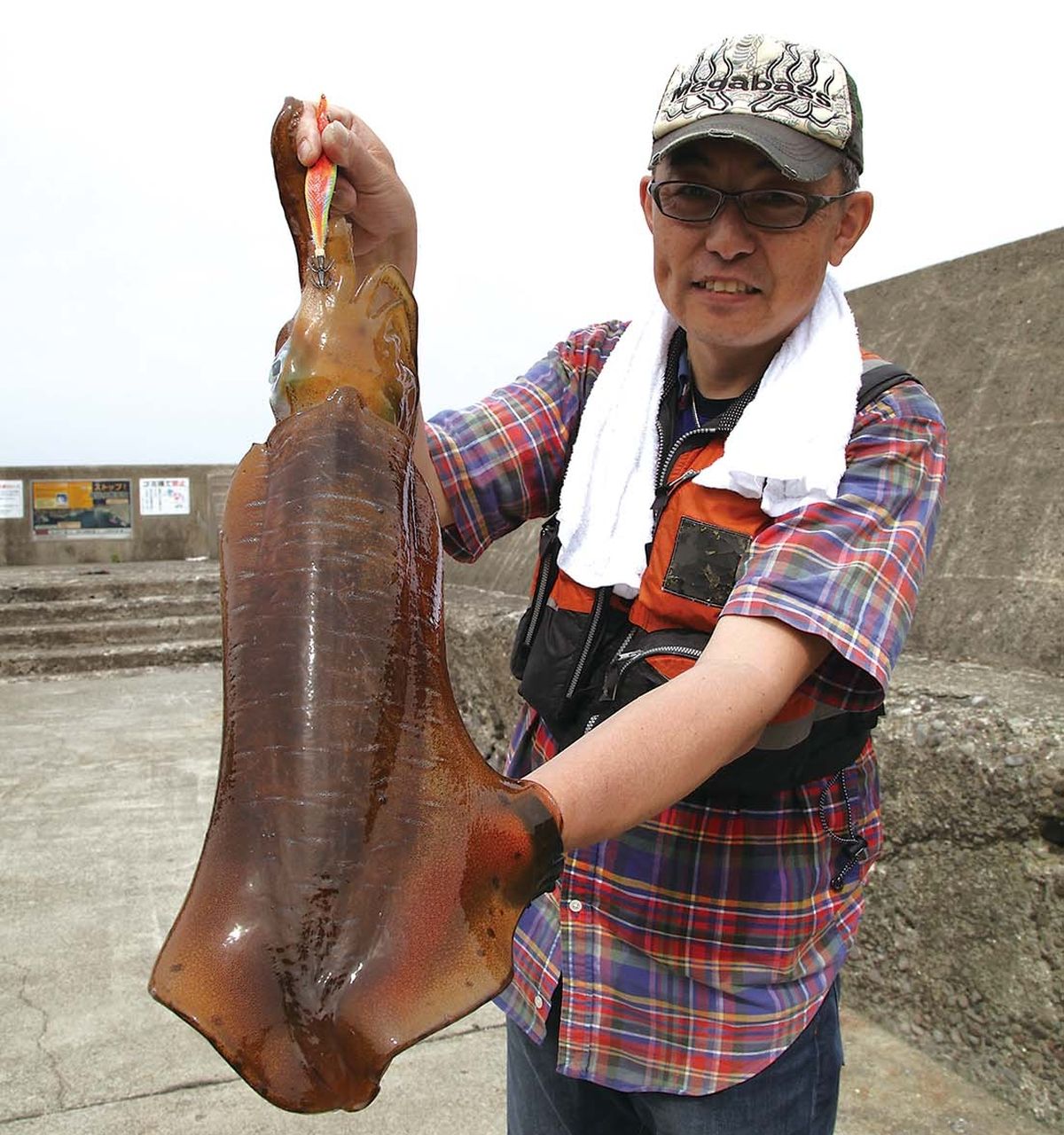 メジナ アオリイカ釣り 神奈川県小田原市 江の浦港 全国おすすめ釣り場