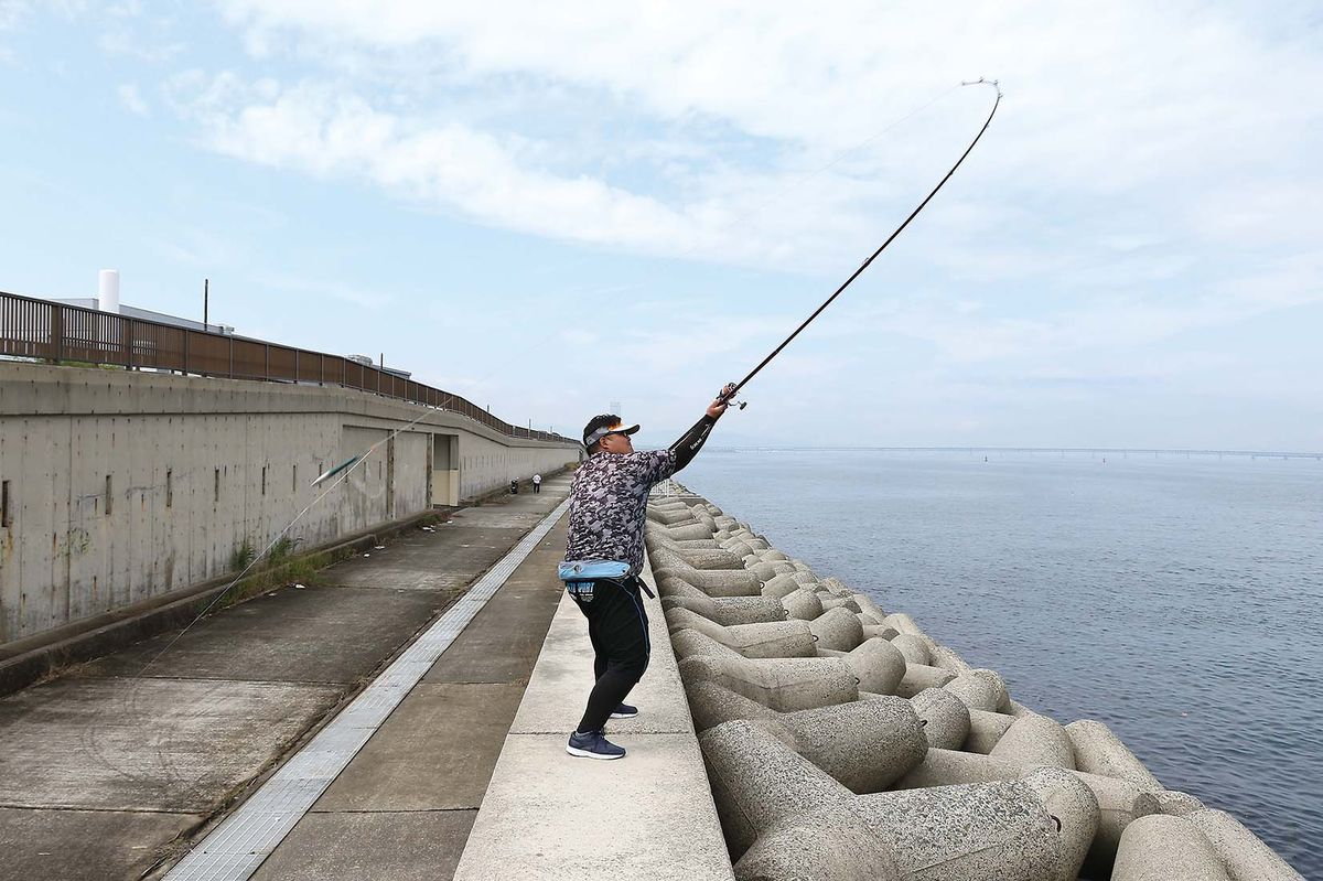 シロギス釣り 大阪府貝塚市 貝塚人工島 全国おすすめ釣り場