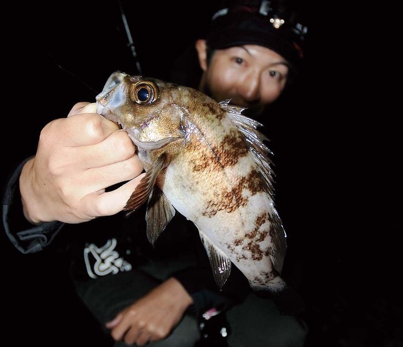 尺サイズもねらえる 東北のアジング名所 秋田県男鹿市 椿漁港 全国おすすめ釣り場