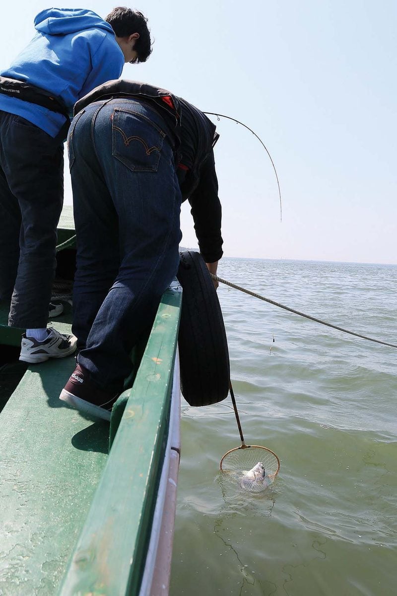 ゆったり浮かぶ カセ に乗ってのんびりキビレ釣り 兵庫県尼崎市 武庫川 全国おすすめ釣り場