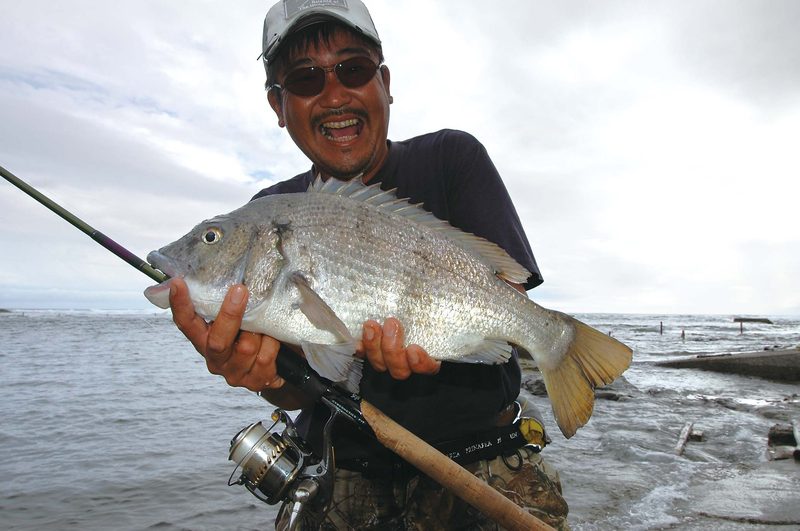 クロダイ チヌ 釣りスタートガイド ルアー釣り入門 魚種別釣りガイド