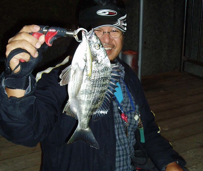 クロダイ チヌ 釣りスタートガイド ルアー釣り入門 魚種別釣りガイド