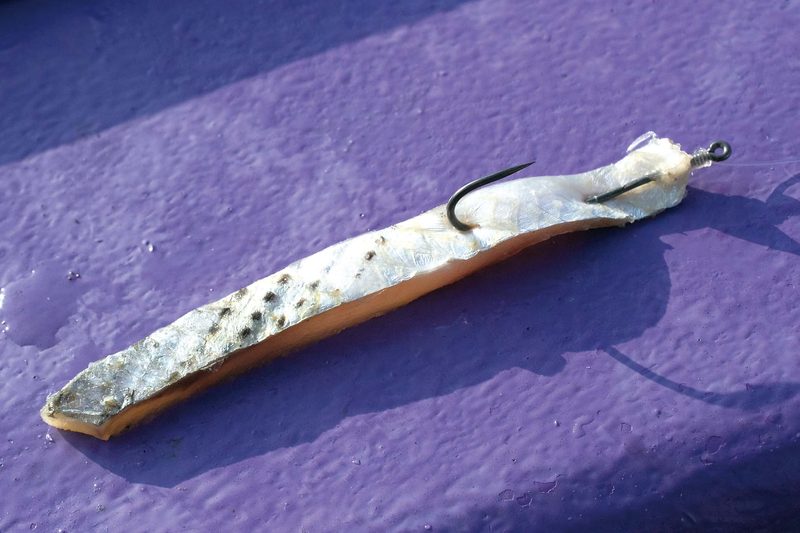 b-7
