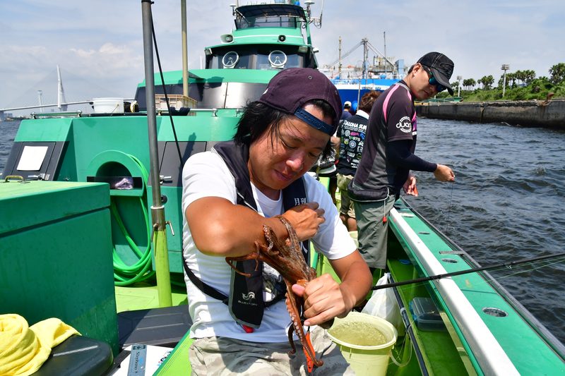 【東京湾の餌木タコ(エギタコ)入門】タコに吸われるのは気持ちいい