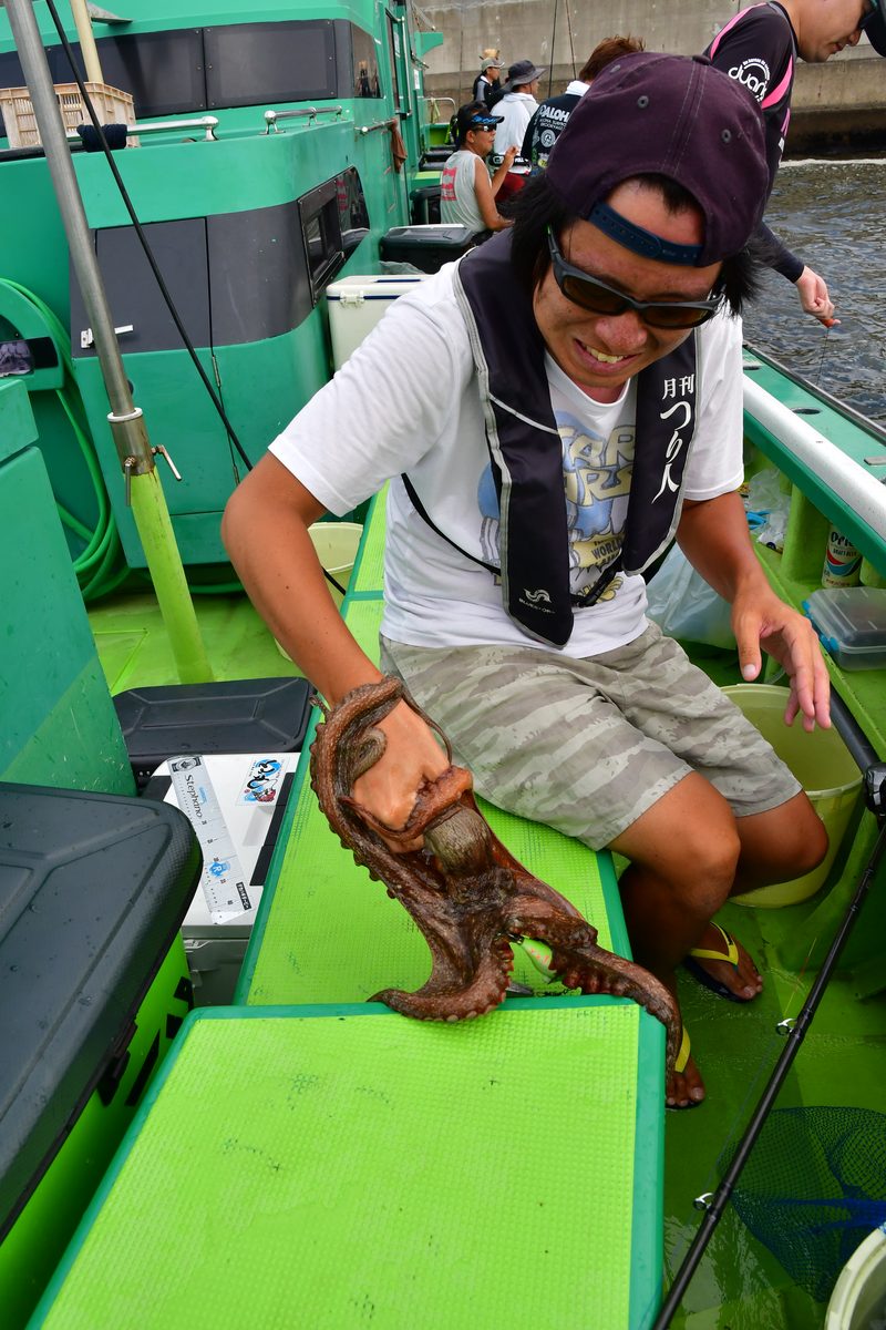 東京湾の餌木タコ エギタコ 釣り超入門 船の乗り方 道具解説 釣り方 魚種別釣りガイド