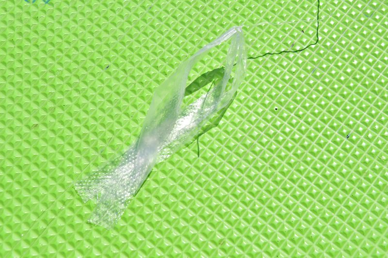 【東京湾の餌木タコ(エギタコ)入門】タコはビニールに寄って来る習性がある