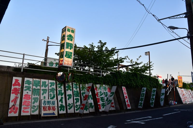 【東京湾の餌木タコ(エギタコ)入門】釣り人にとって浦安のテーマパークは吉野屋