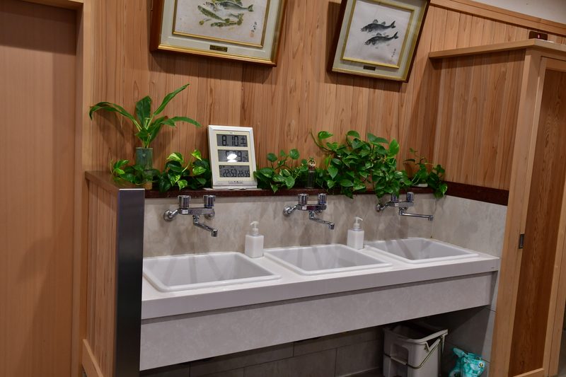 【東京湾の餌木タコ(エギタコ)入門】吉野屋はキレイな手洗い完備!