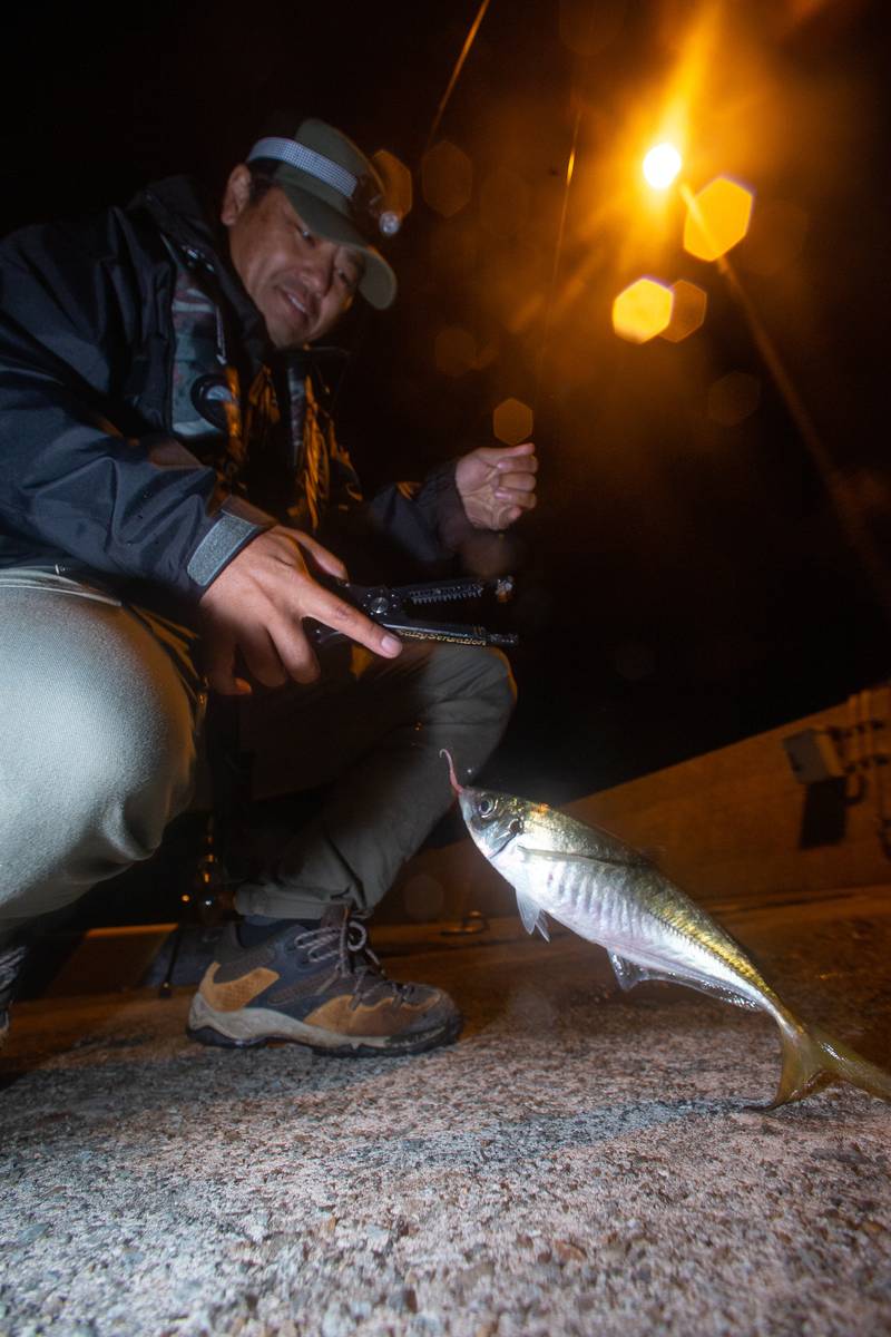 今年のアジングは遠距離をねらうべし 魅惑のロングディスタンスアジングとは 魚種別釣りガイド