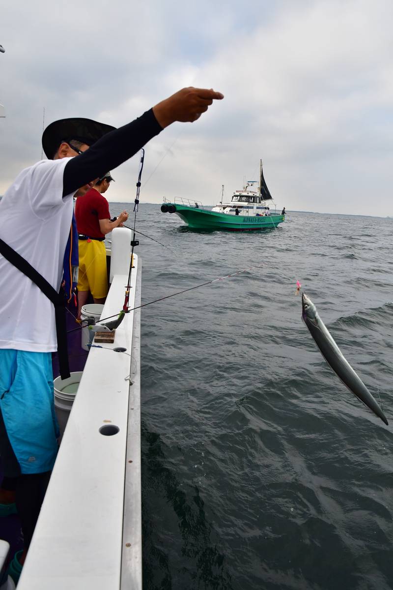 東京湾のタチウオ釣り超入門 エサ釣り編 船の乗り方 道具解説 釣り方 魚種別釣りガイド