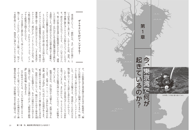 60年間東京湾に潜り続けてきたダイバー 尾崎幸司さんの書籍が発売 月刊つり人ブログ