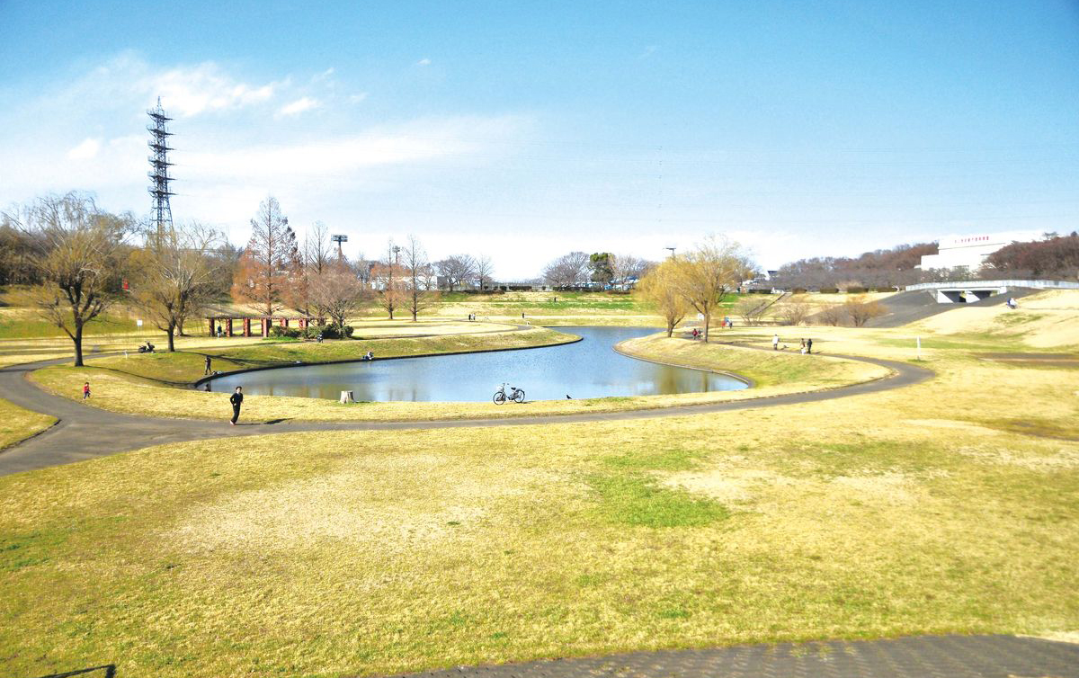 クチボソ ヘラブナ釣り 埼玉県さいたま市 大宮第二公園 全国おすすめ釣り場