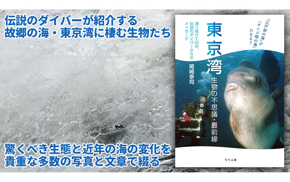 60年間東京湾に潜り続けてきたダイバー 尾崎幸司さんの書籍が発売 月刊つり人ブログ