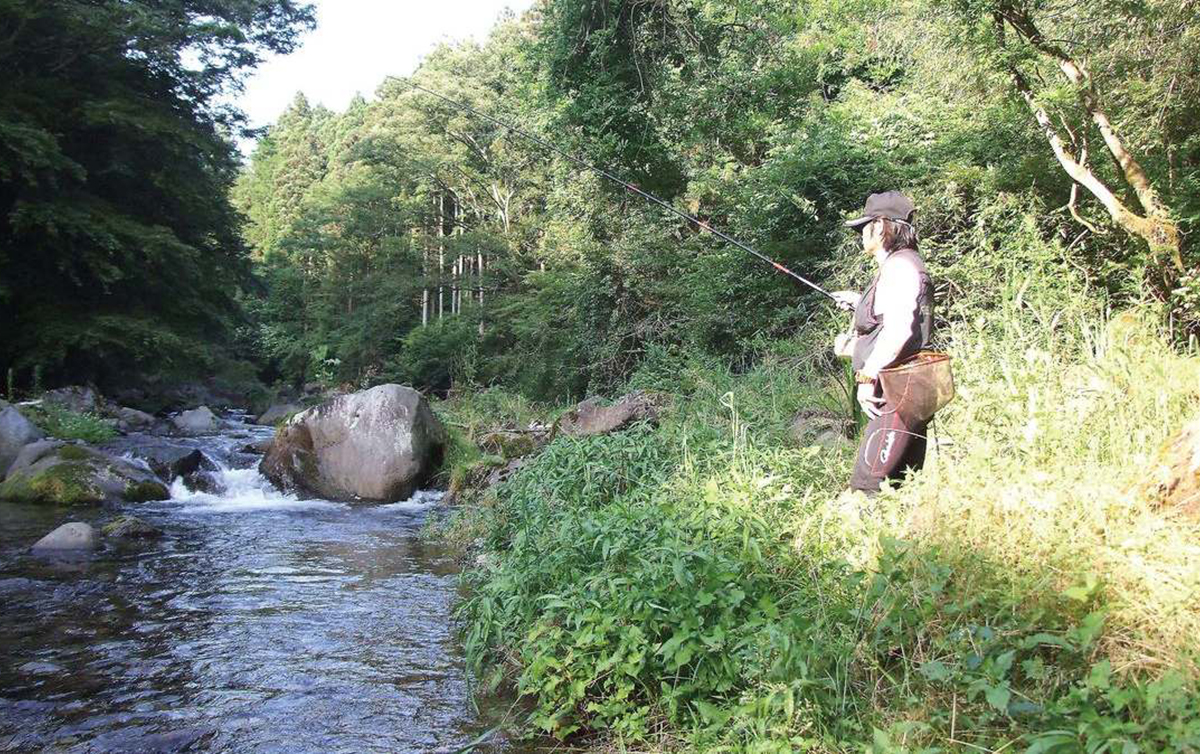 アマゴ釣り 静岡県朝霧高原 芝川 全国おすすめ釣り場