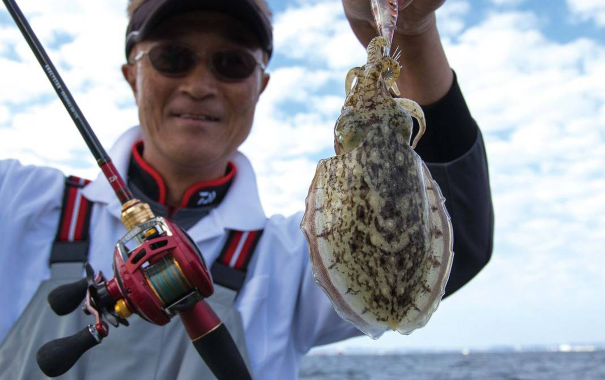 スミイカ釣り 釣期は10 1月 東京湾の美味ターゲット 魚種別釣りガイド