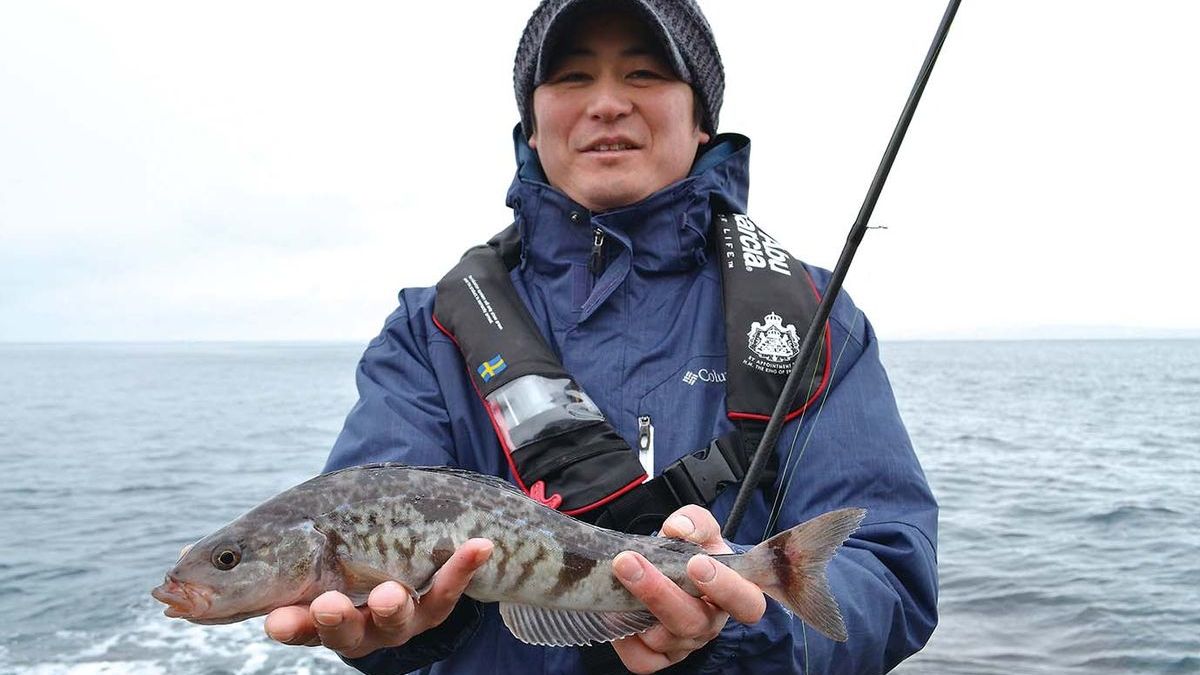 北海道道南せたな町 ホッケのルアーゲーム 全国おすすめ釣り場